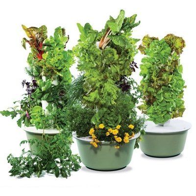 Hydroponic Aeroponic Planting System Tower Growing with Nutrient for good health 