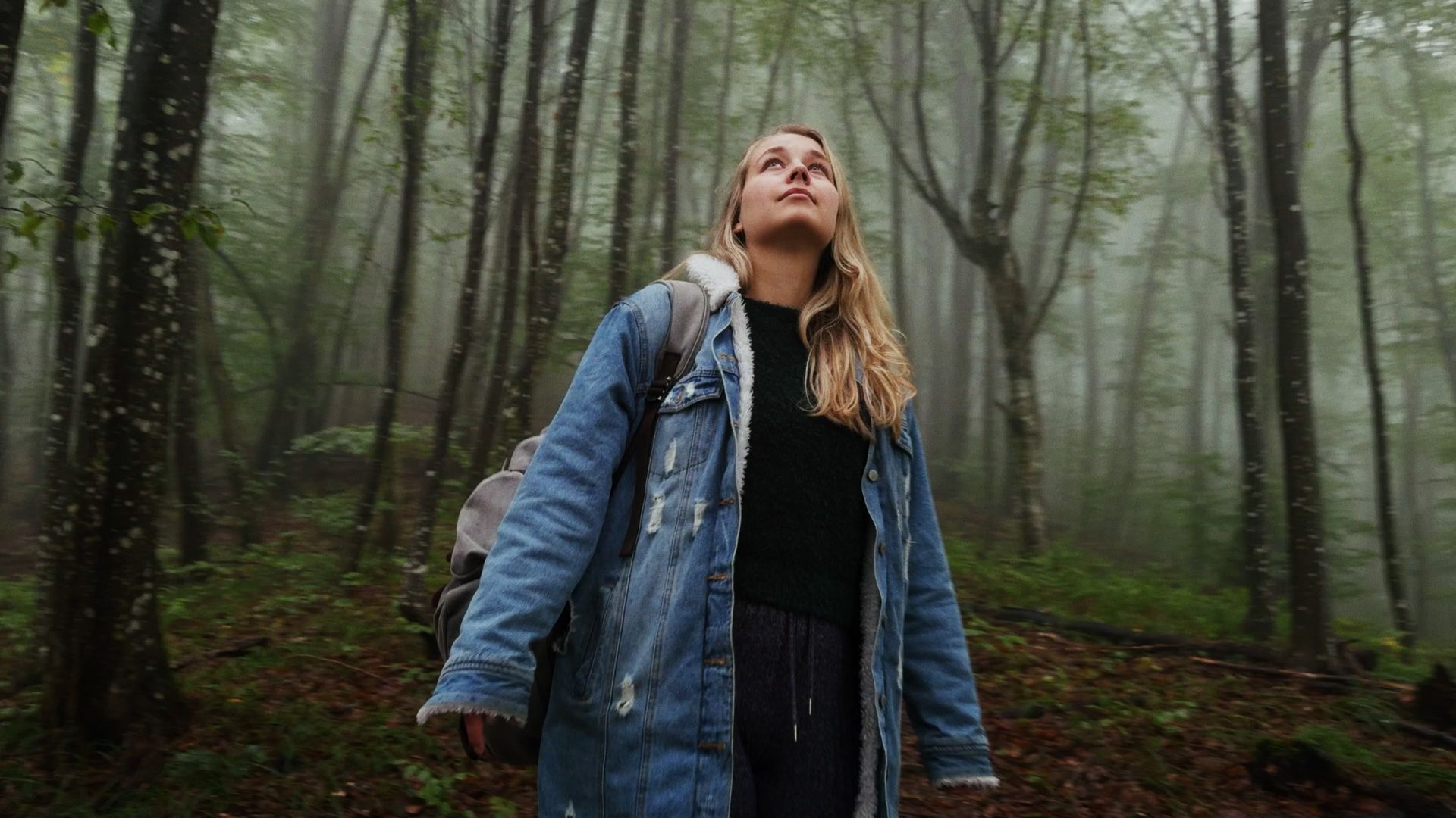 Page header image - Astrantia