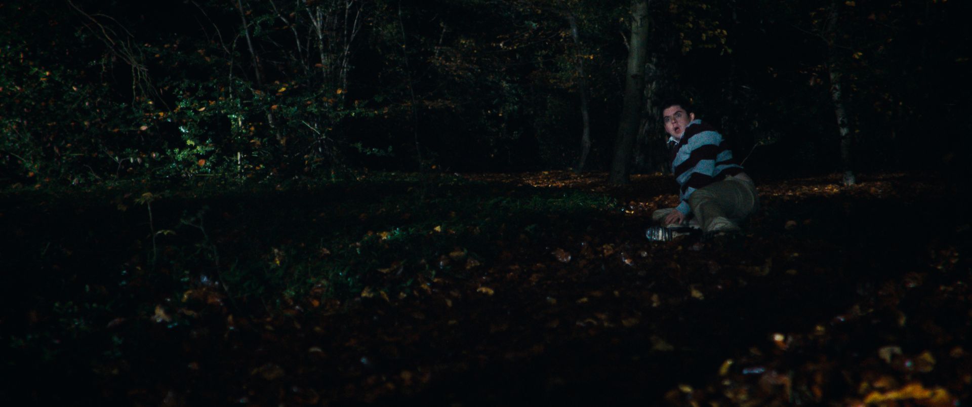 Gallery Image - The Horror The Horror 9