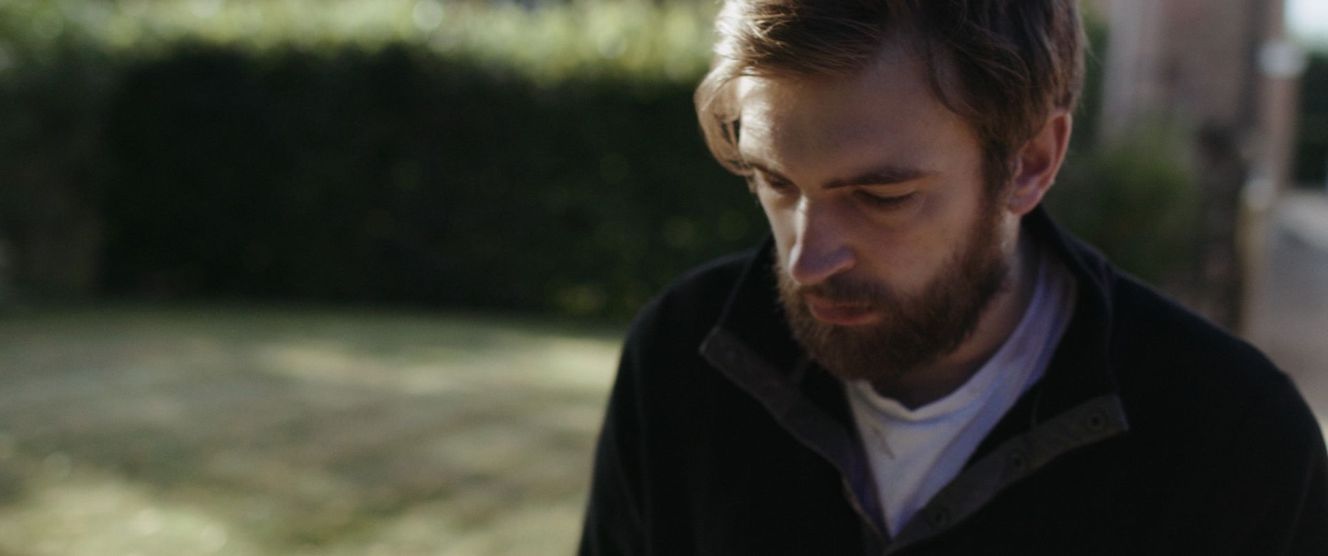 Gallery Image - Astrantia 25