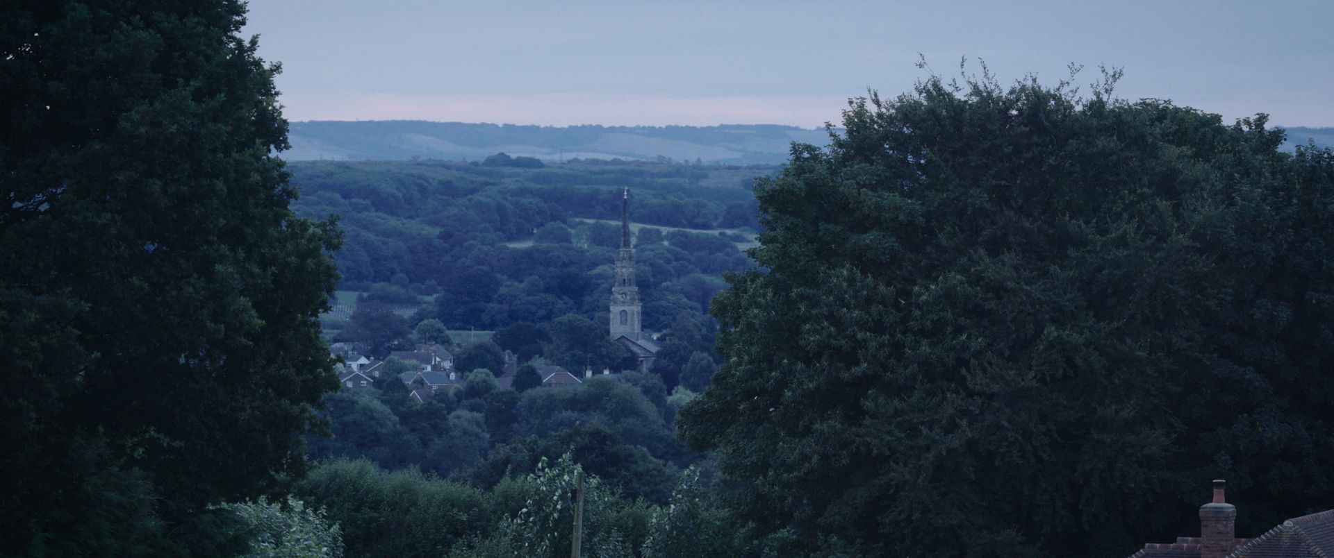 Gallery Image - Astrantia 33