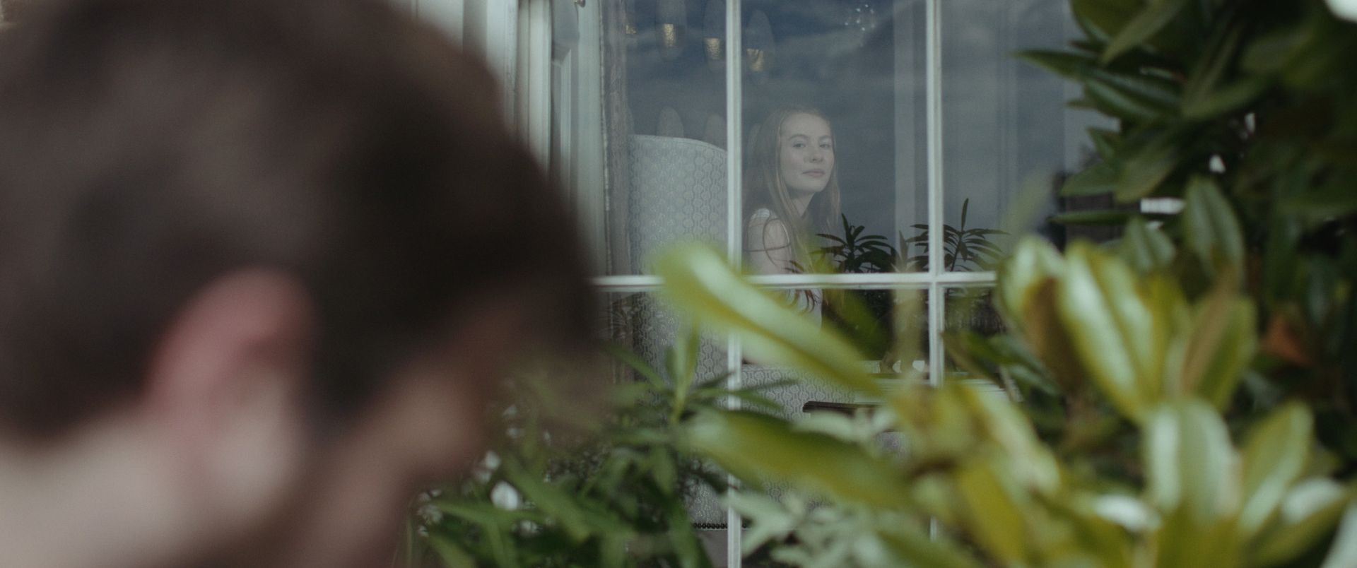 Gallery Image - Astrantia 22