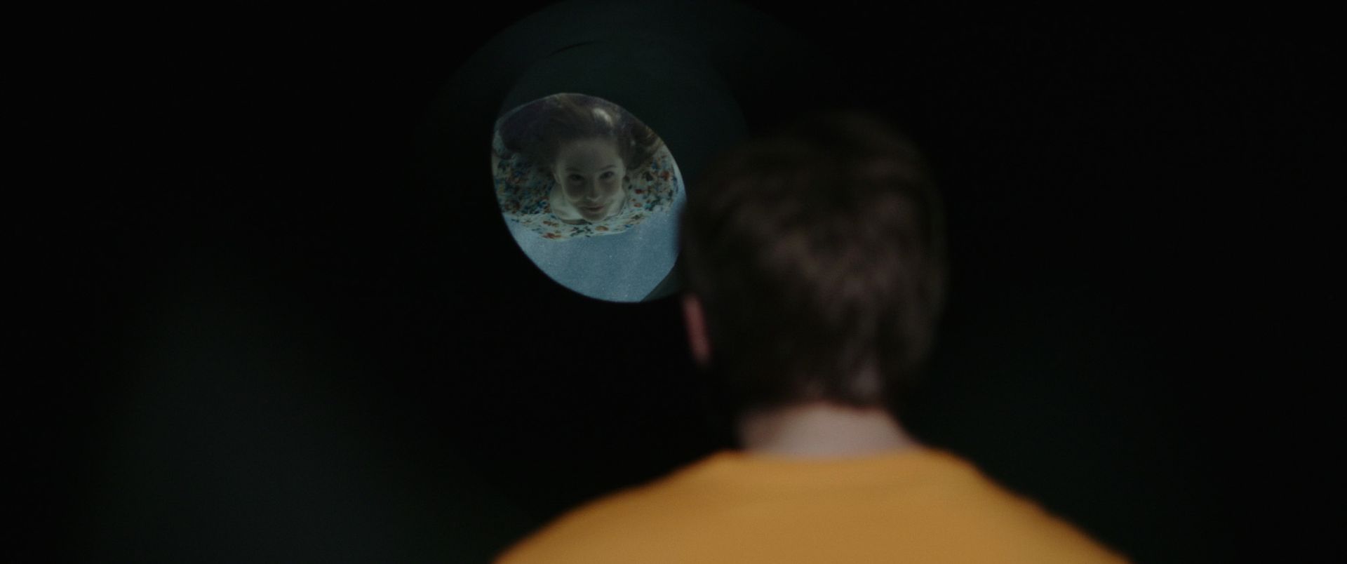 Gallery Image - Astrantia 14