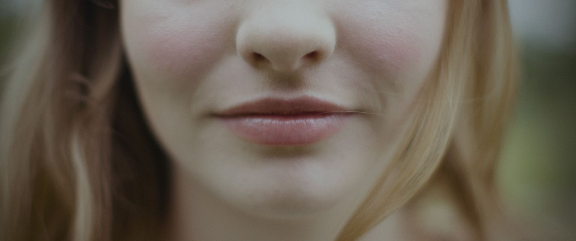 Gallery Image - Astrantia 5