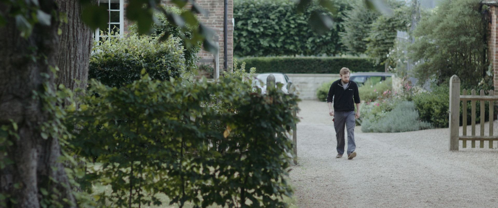 Gallery Image - Astrantia 30