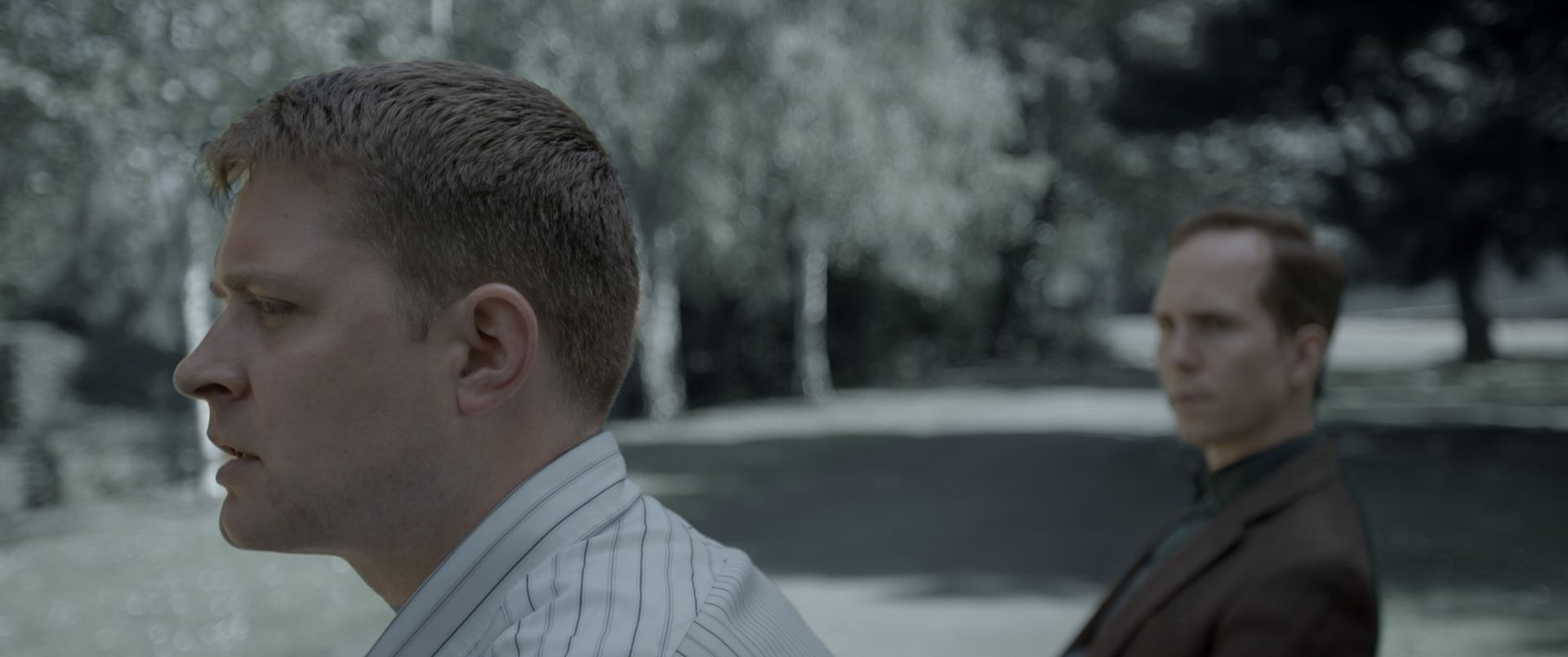 Gallery Image - Them 33