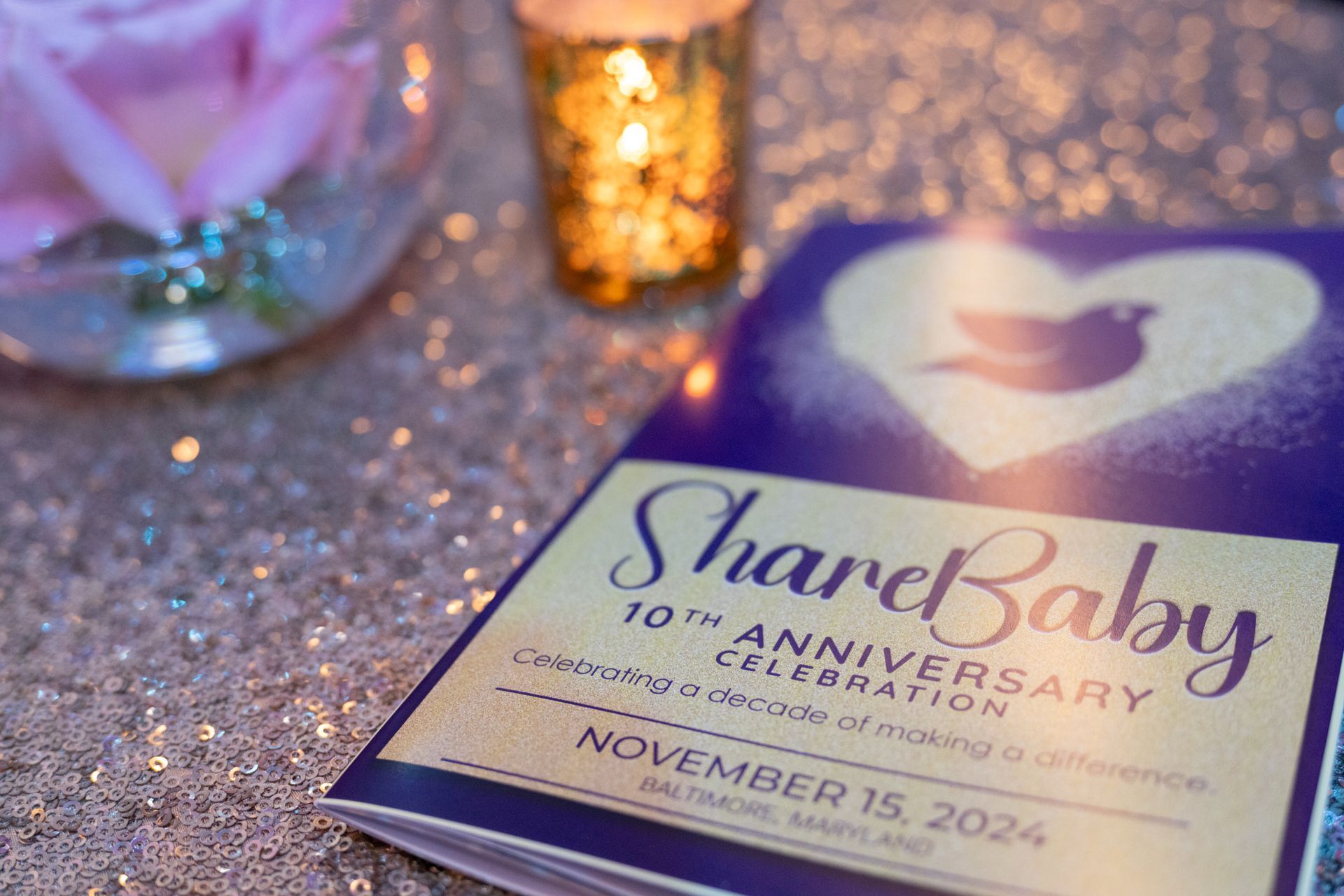 ShareBaby 10th Anniversary Gala