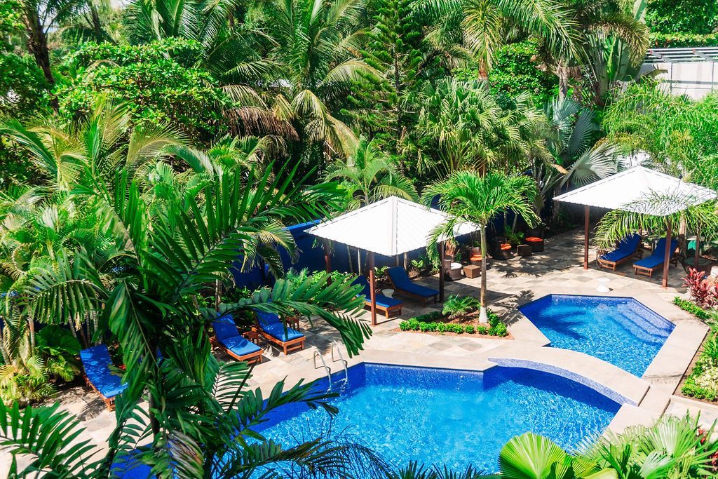 A large swimming pool surrounded by palm trees and chairs.