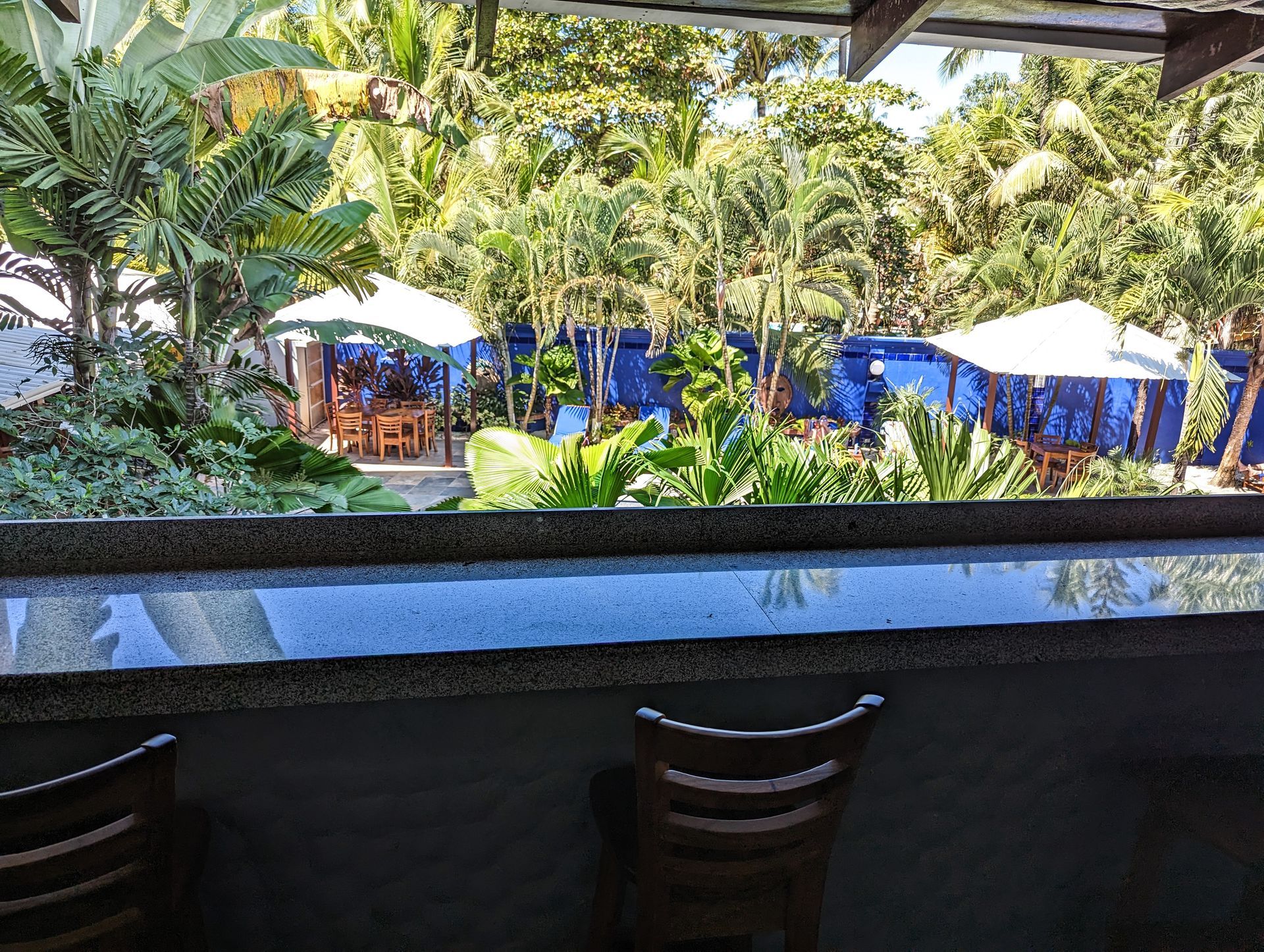 A view of a tropical garden from a restaurant bar.