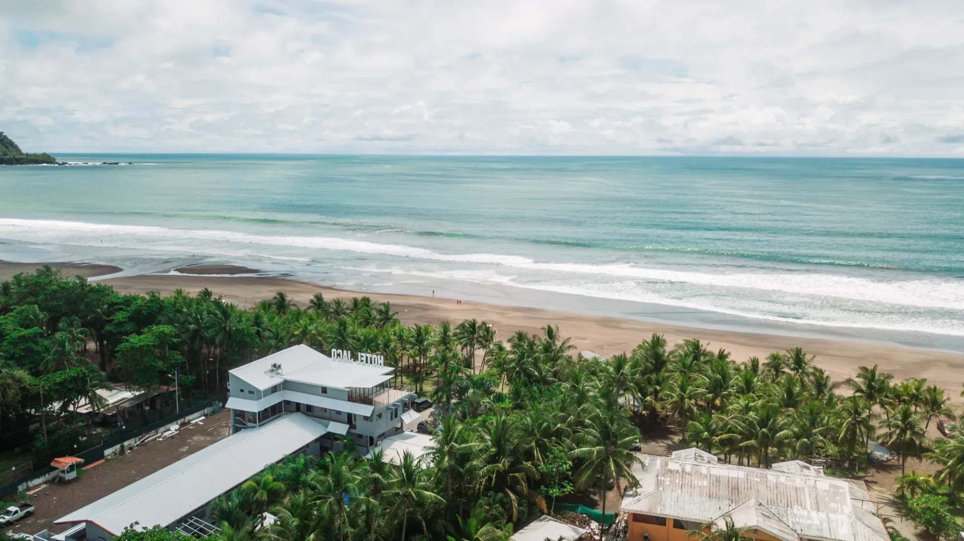 An aerial view of a beach with palm trees and a large body of water.