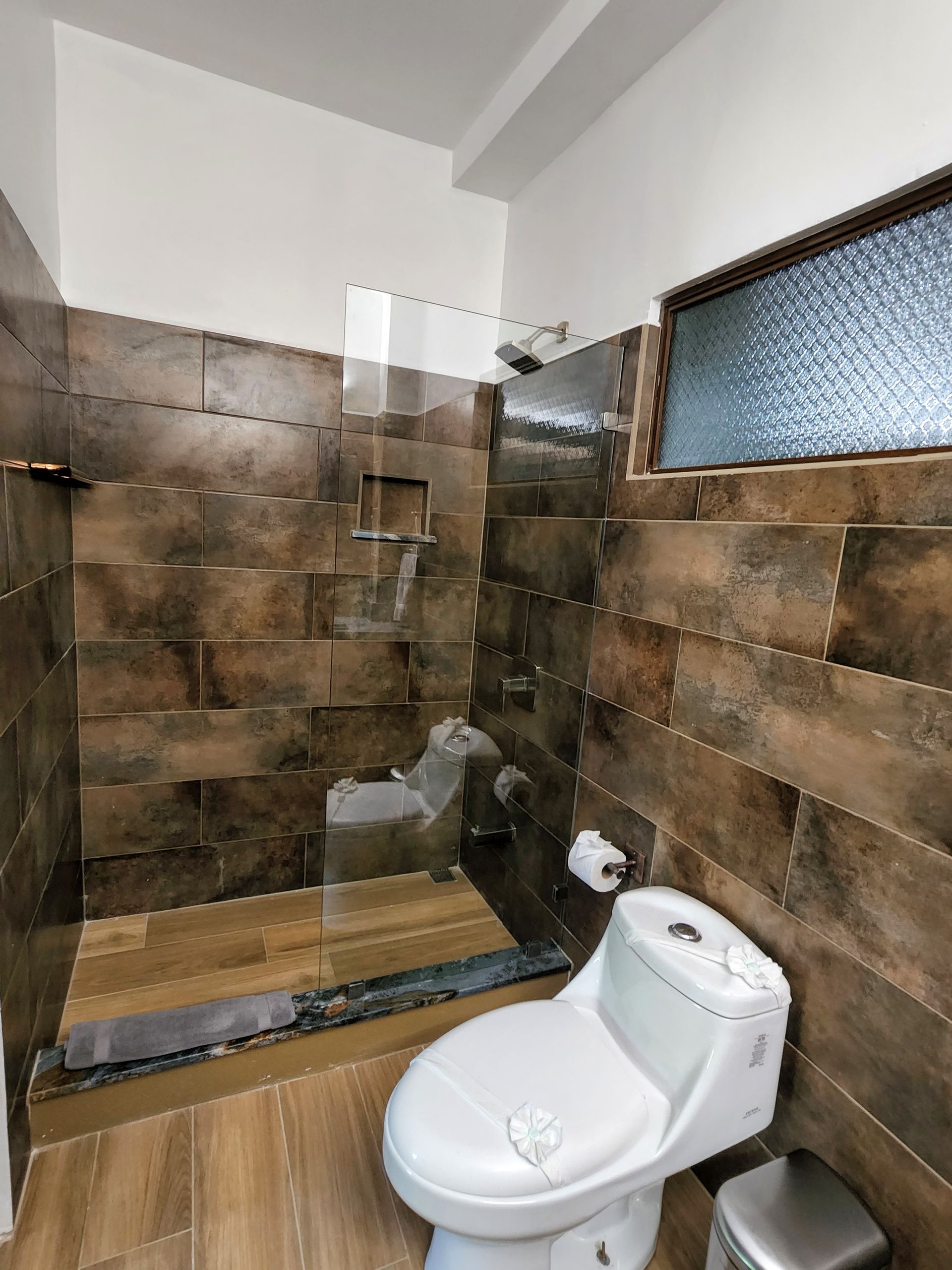 A bathroom with a toilet and a walk in shower