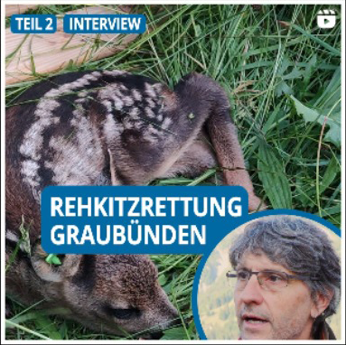 Social Media Manager, Rehkitzrettung Graubünden Interview