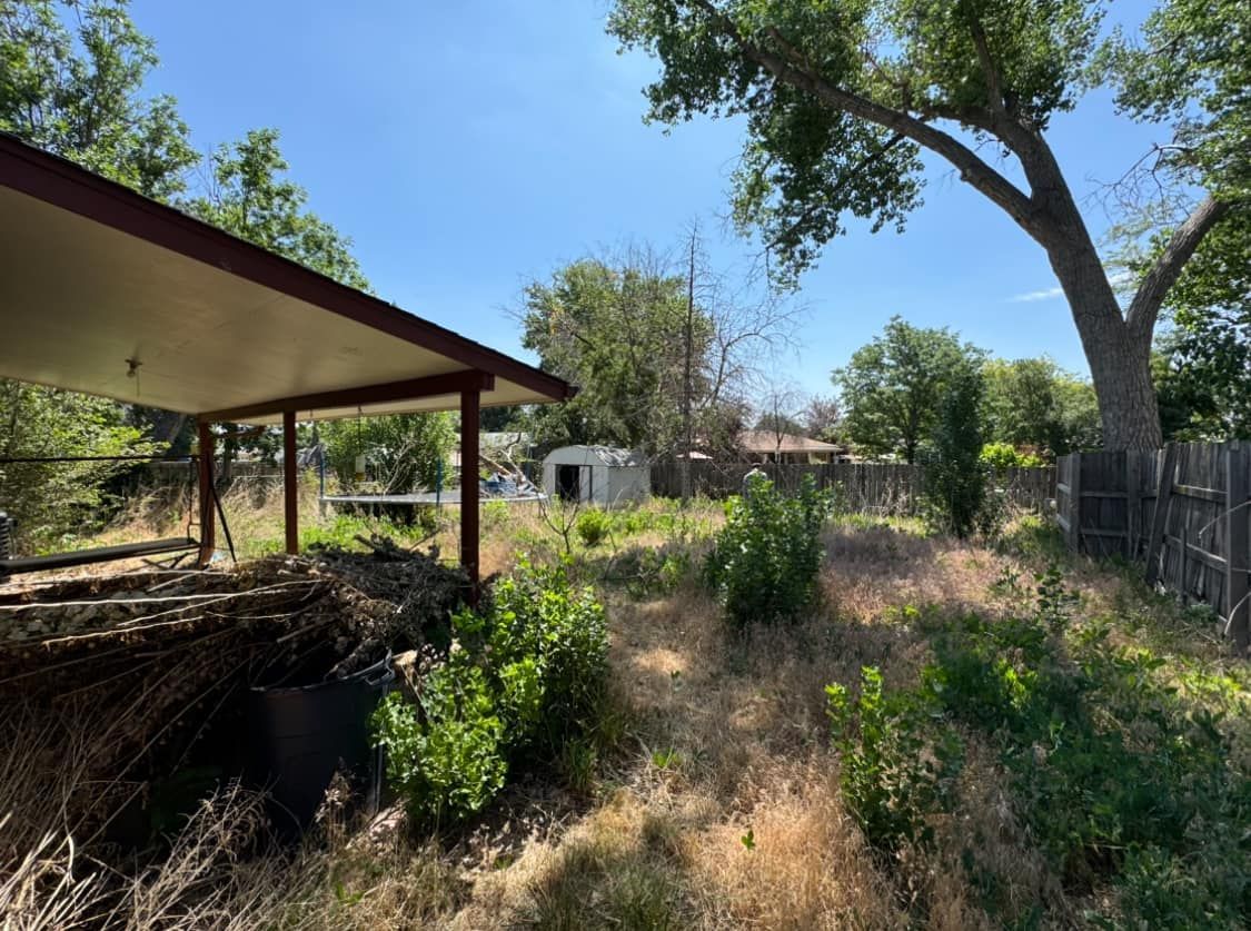 Backyard view with a covered patio, overgrown weeds, a shed, and trees under a blue sky.