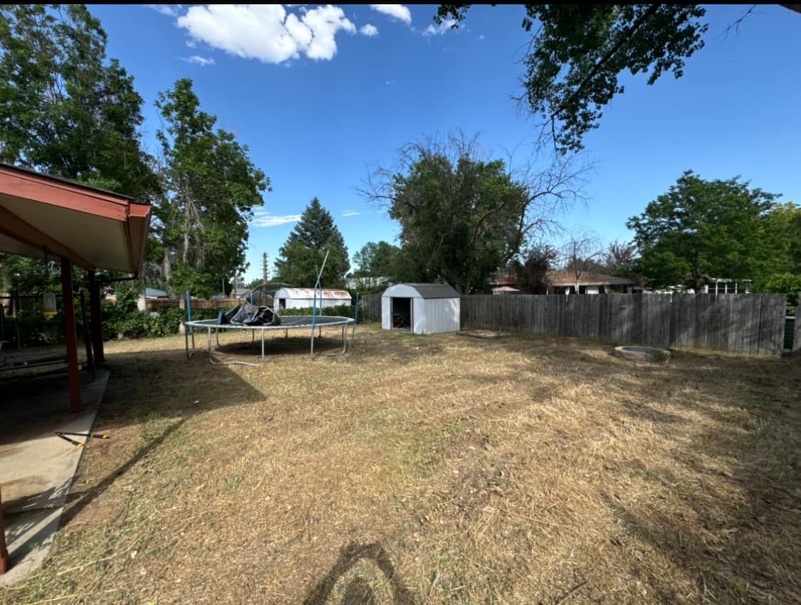Backyard with brown grass, shed, trampoline, and trees under a blue sky.