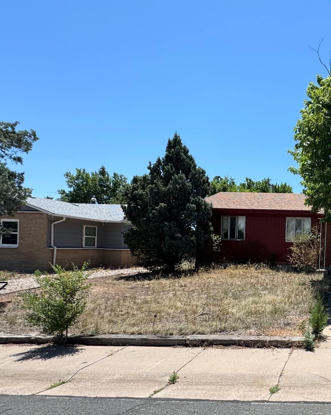 Two houses with overgrown yards on a sunny day. One house is red, the other is beige.
