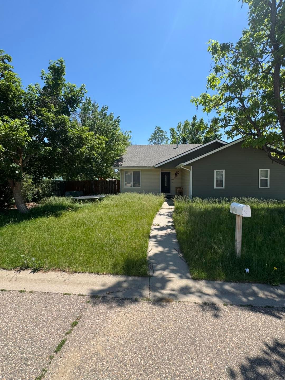 A suburban house with overgrown lawn, a concrete path, and blue sky.