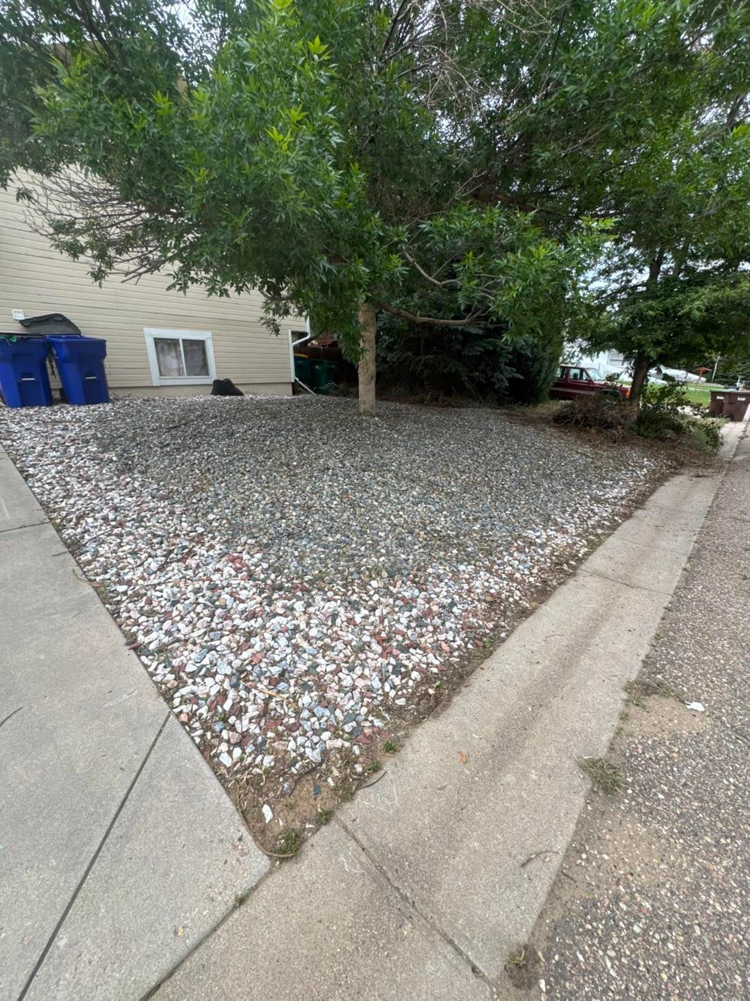 A house front yard with gravel ground cover, a tree, and a concrete sidewalk.