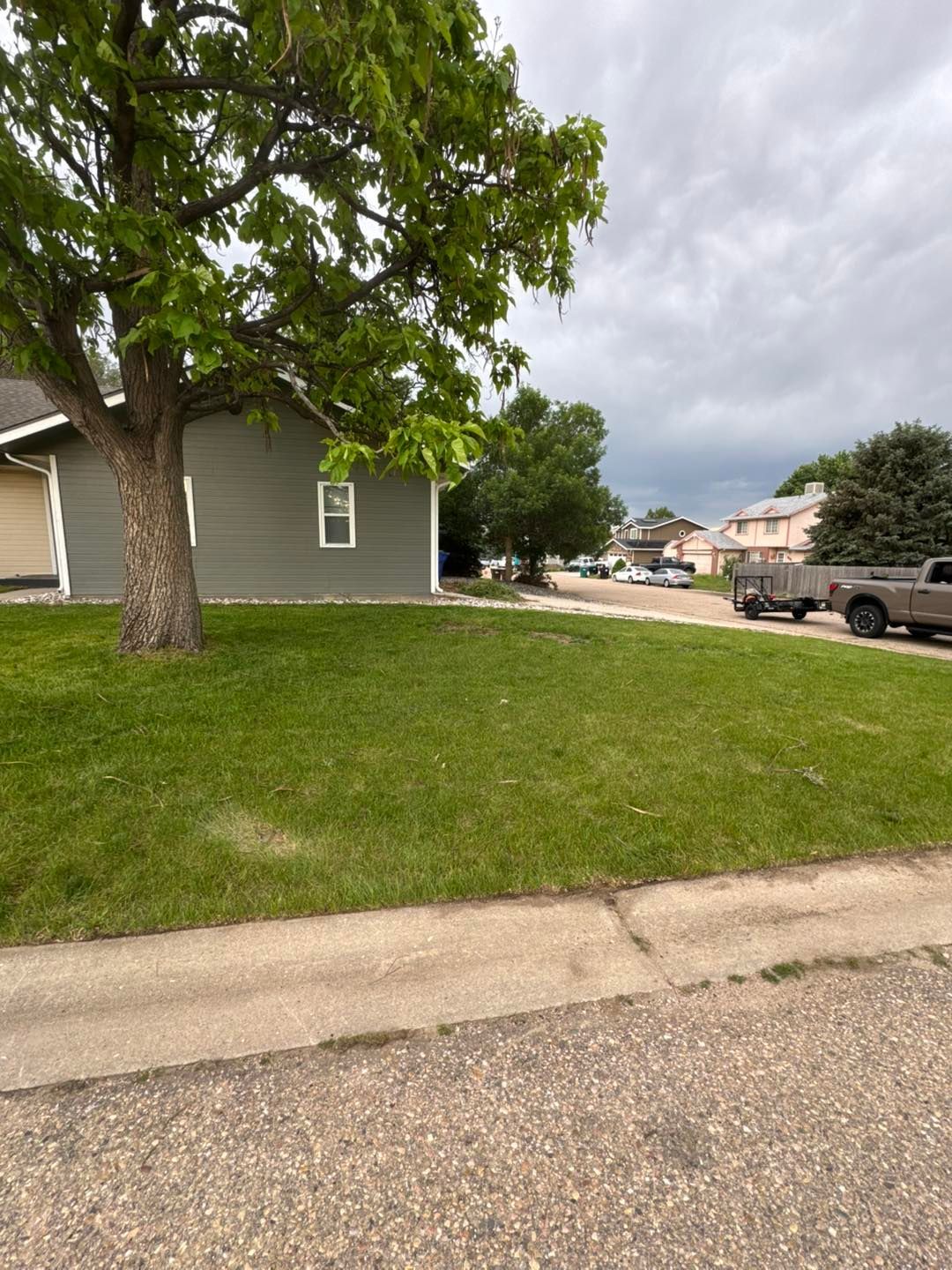 Green house and lawn on a cloudy day, with a tree in the foreground.