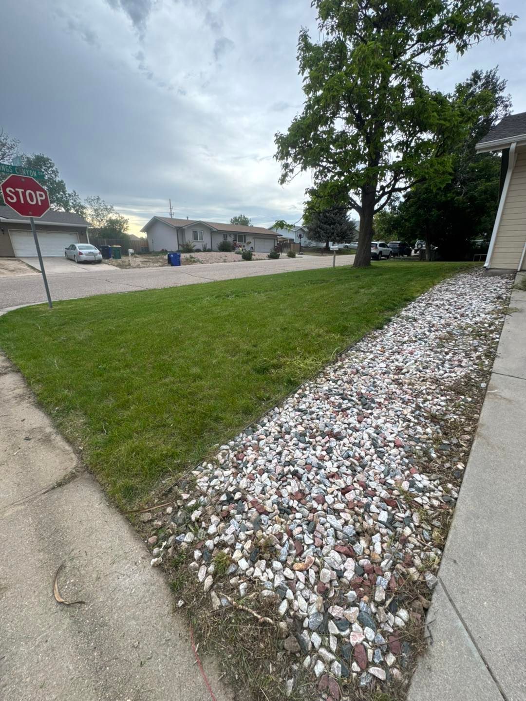 Lawn with a rock border next to a sidewalk, street, and houses on a cloudy day.