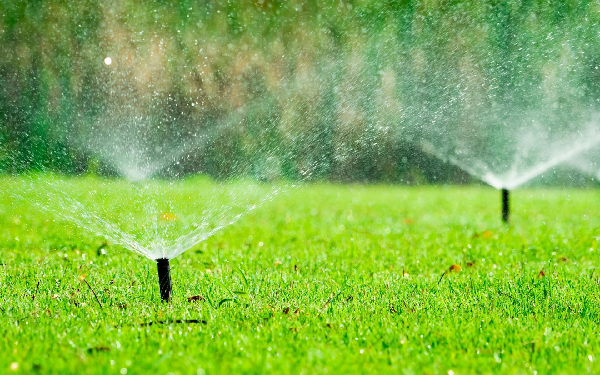Sprinklers spraying water on vibrant green grass, a sunny outdoor setting.