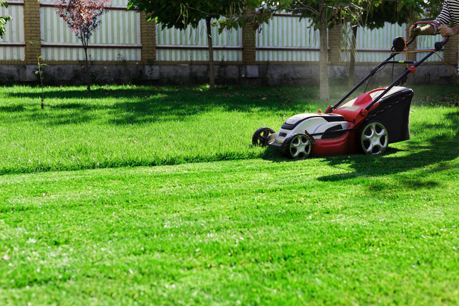 Person mowing a green lawn with a red and white lawnmower, in a sunny yard with a fence.