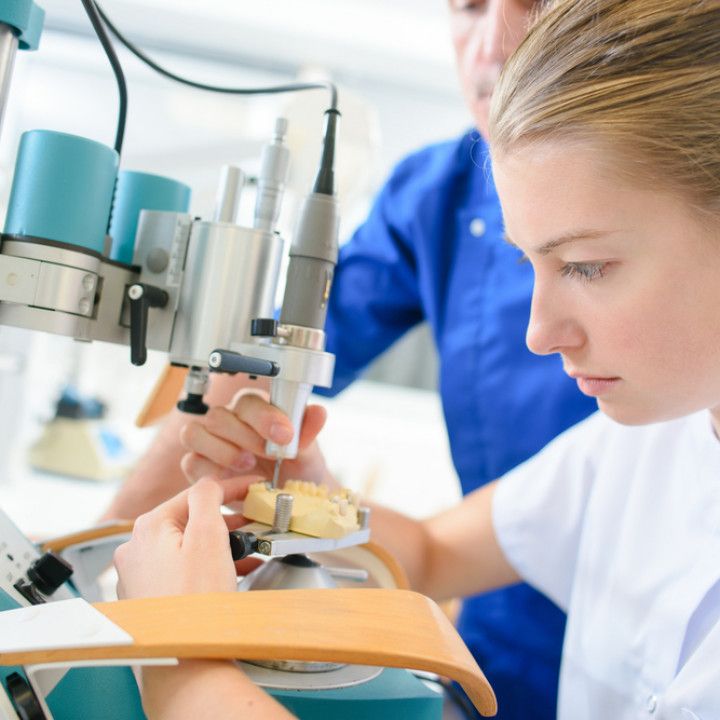 Natural Reflections Team