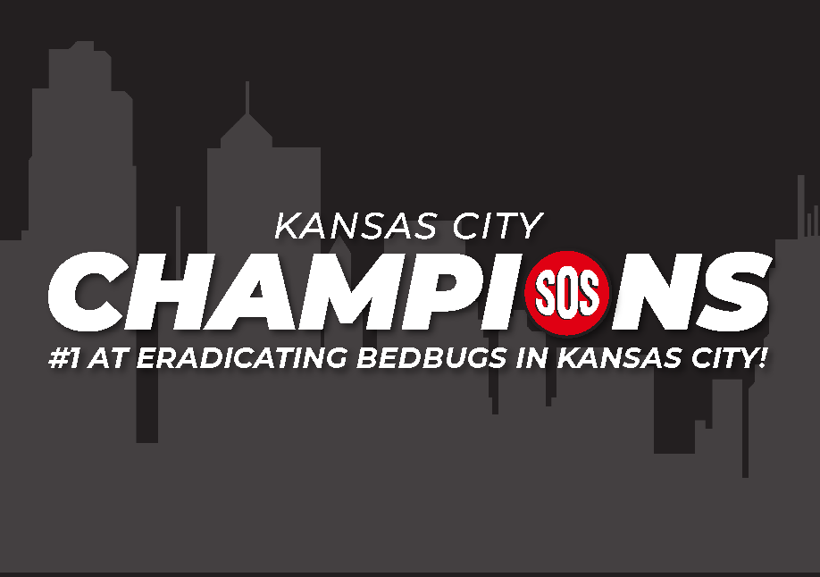 This is a black and gray silhouette of a city scape with Kansas City Champions #1 at eradicating bed bugs in Kansas City.