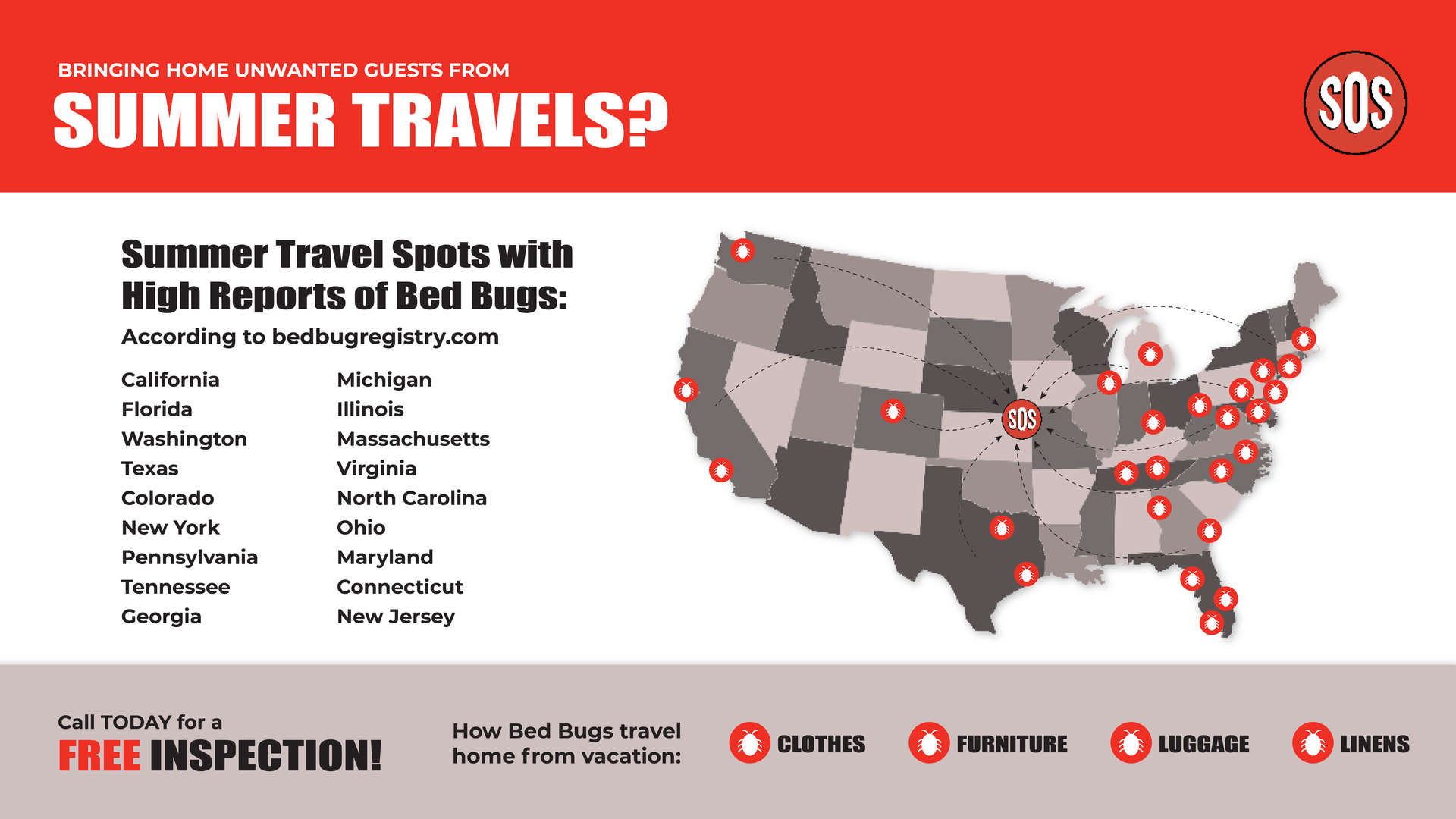 Infographic that shows summer travel destinations that have many counts of bedbugs.