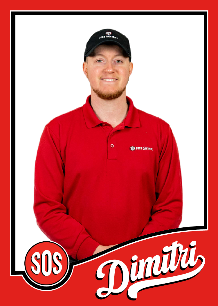 Dimitri is a bed bug technician of 6 years with SOS Pest Control