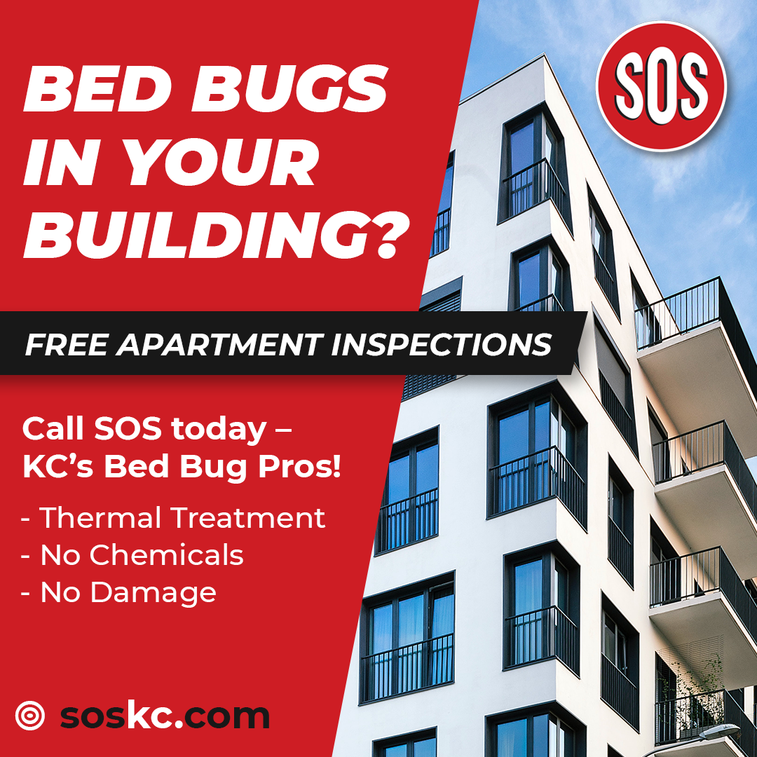 Advertisement for bed bug removal in an apartment building. Red and white text with building image.