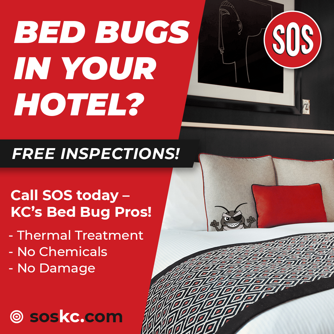 Ad: Bed bug inspection service for hotels. Red background with bed and SOS logo. Offers thermal treatment, no chemicals, and no damage.