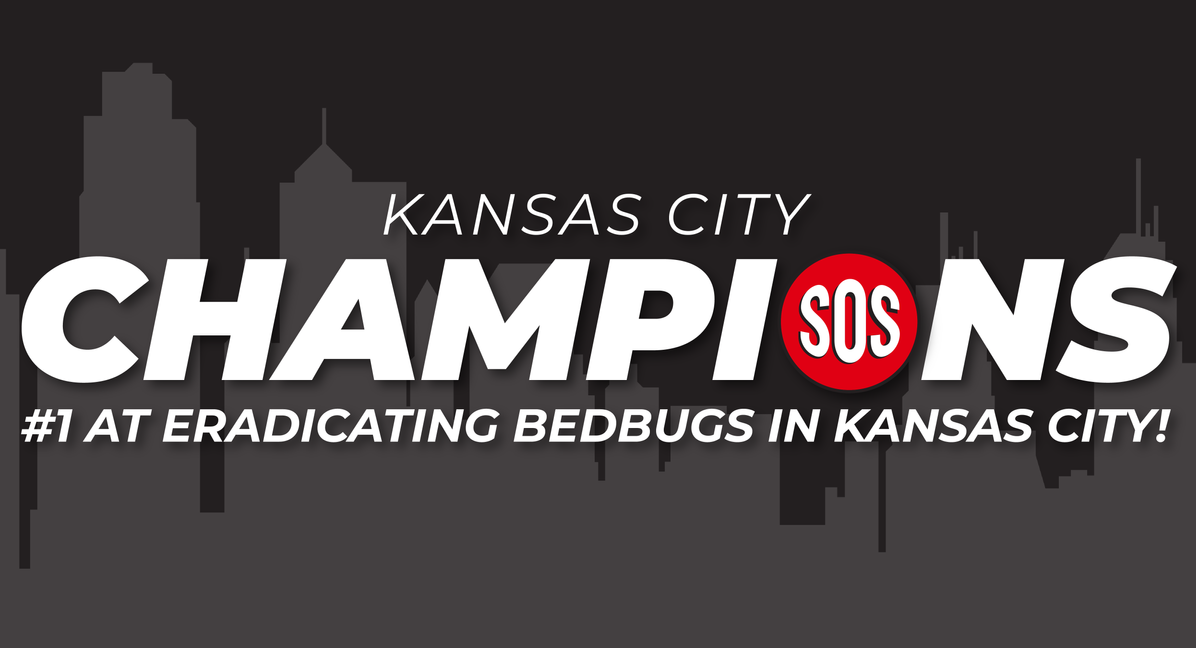 This is a black and gray silhouette of a city scape with Kansas City Champions #1 at eradicating bed bugs in Kansas City.