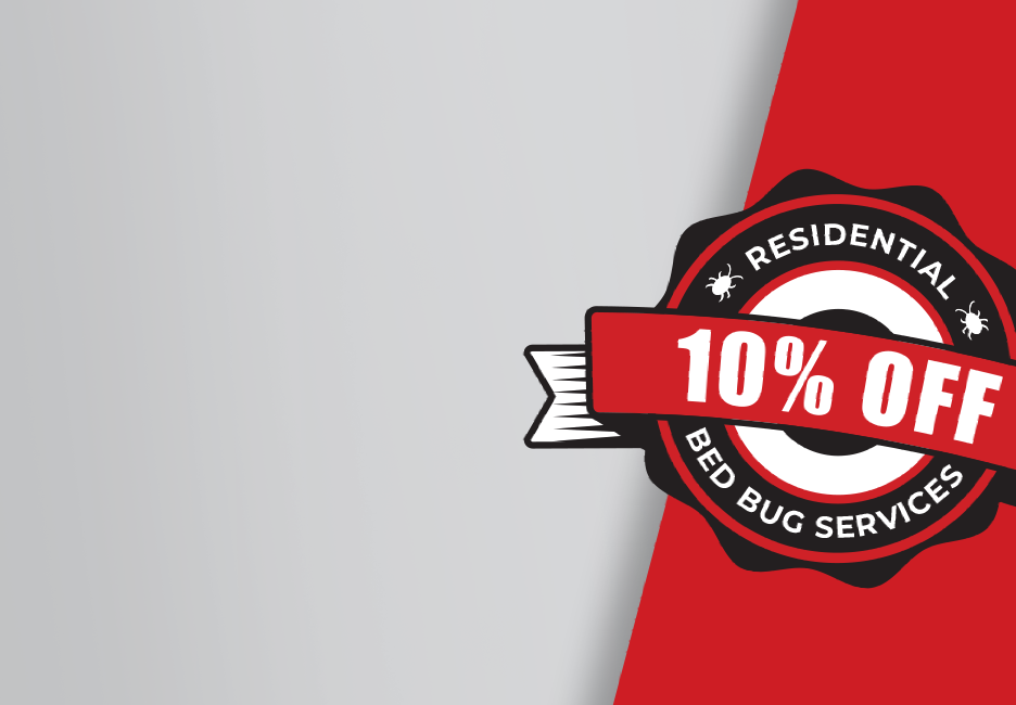 Banner that declares 10% OFF residential bed bug services