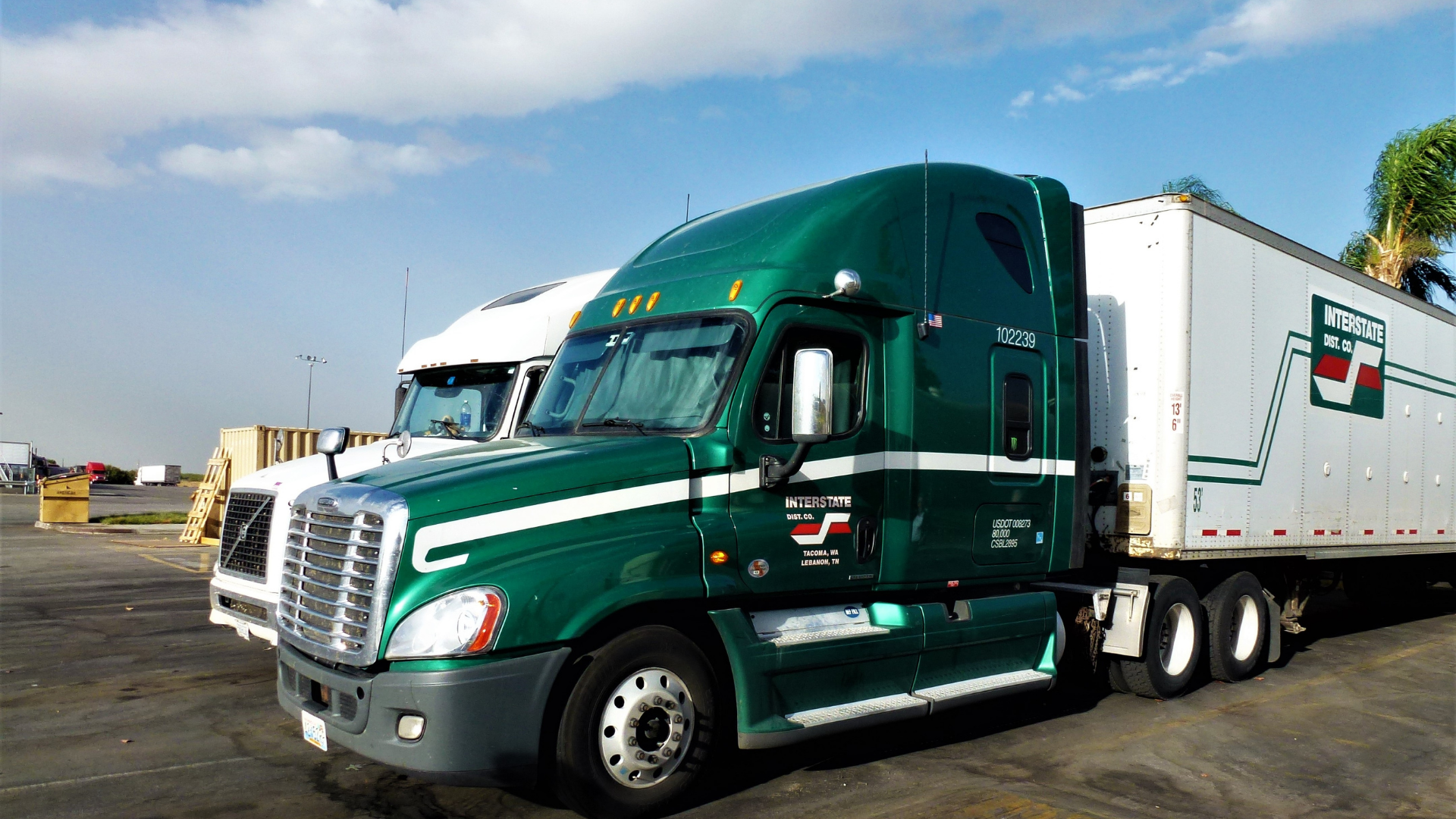 A green semi truck is parked next to a white semi truck in a parking lot.