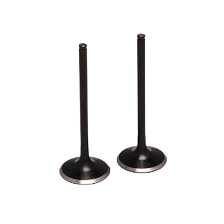 A pair of black valves on a white background.