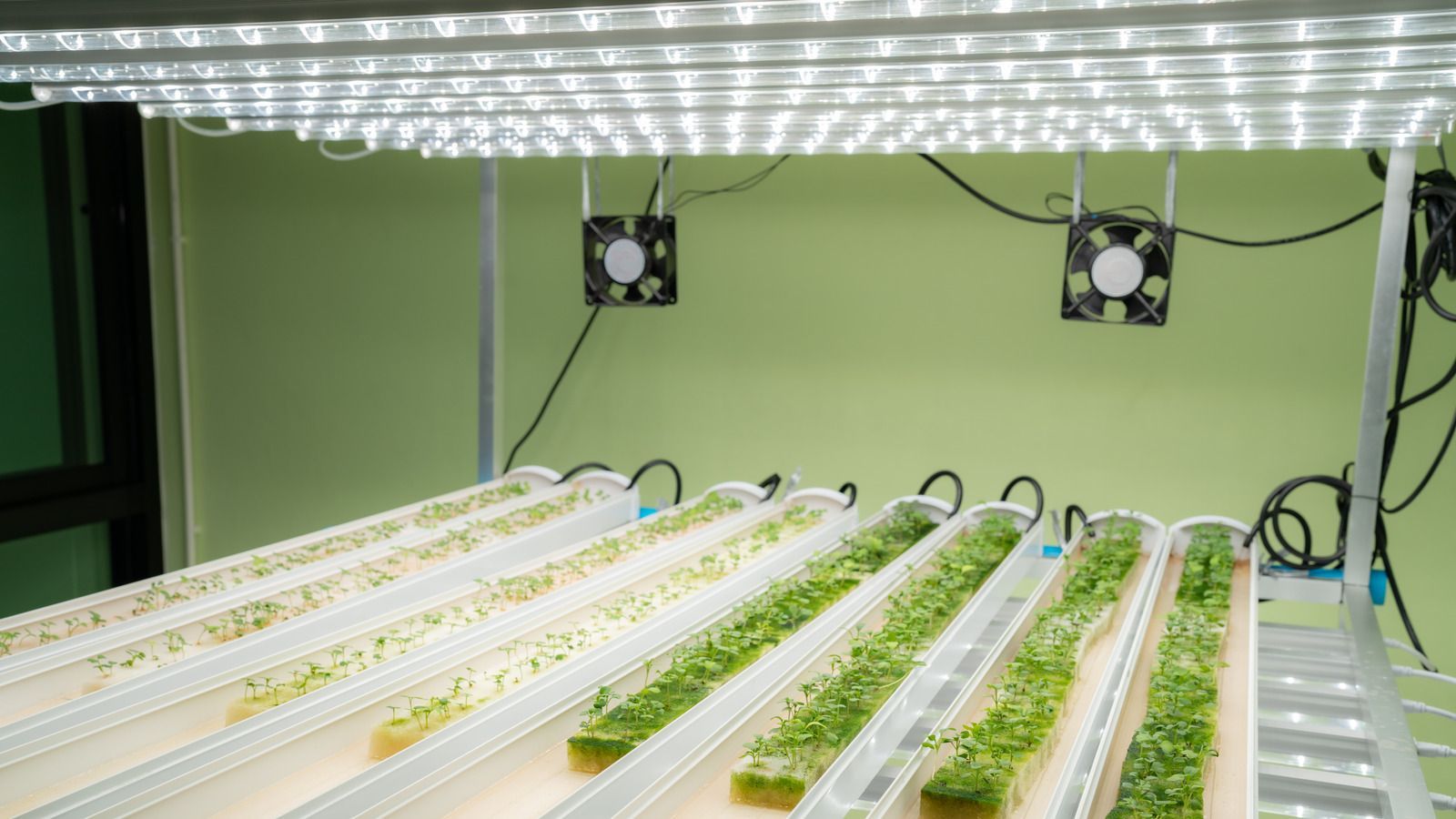 Person in white shirt and jeans working on an air conditioning unit outside.