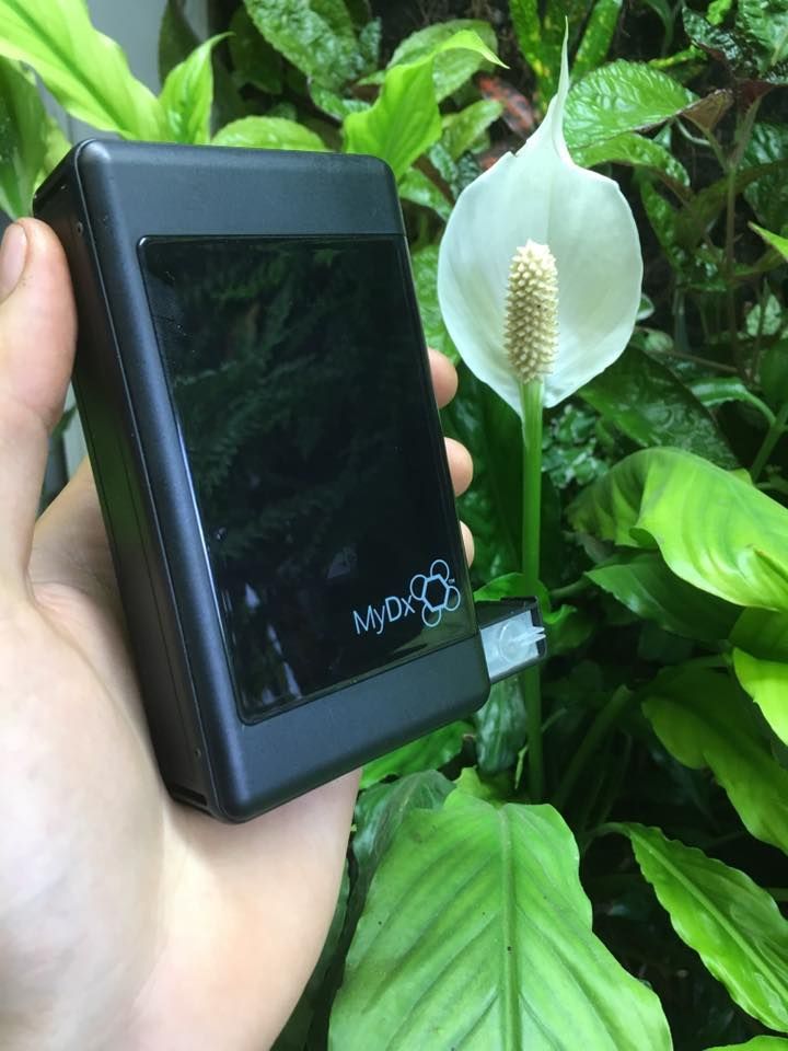 Hand holding a black device with a screen, in front of a white flower and green leaves.