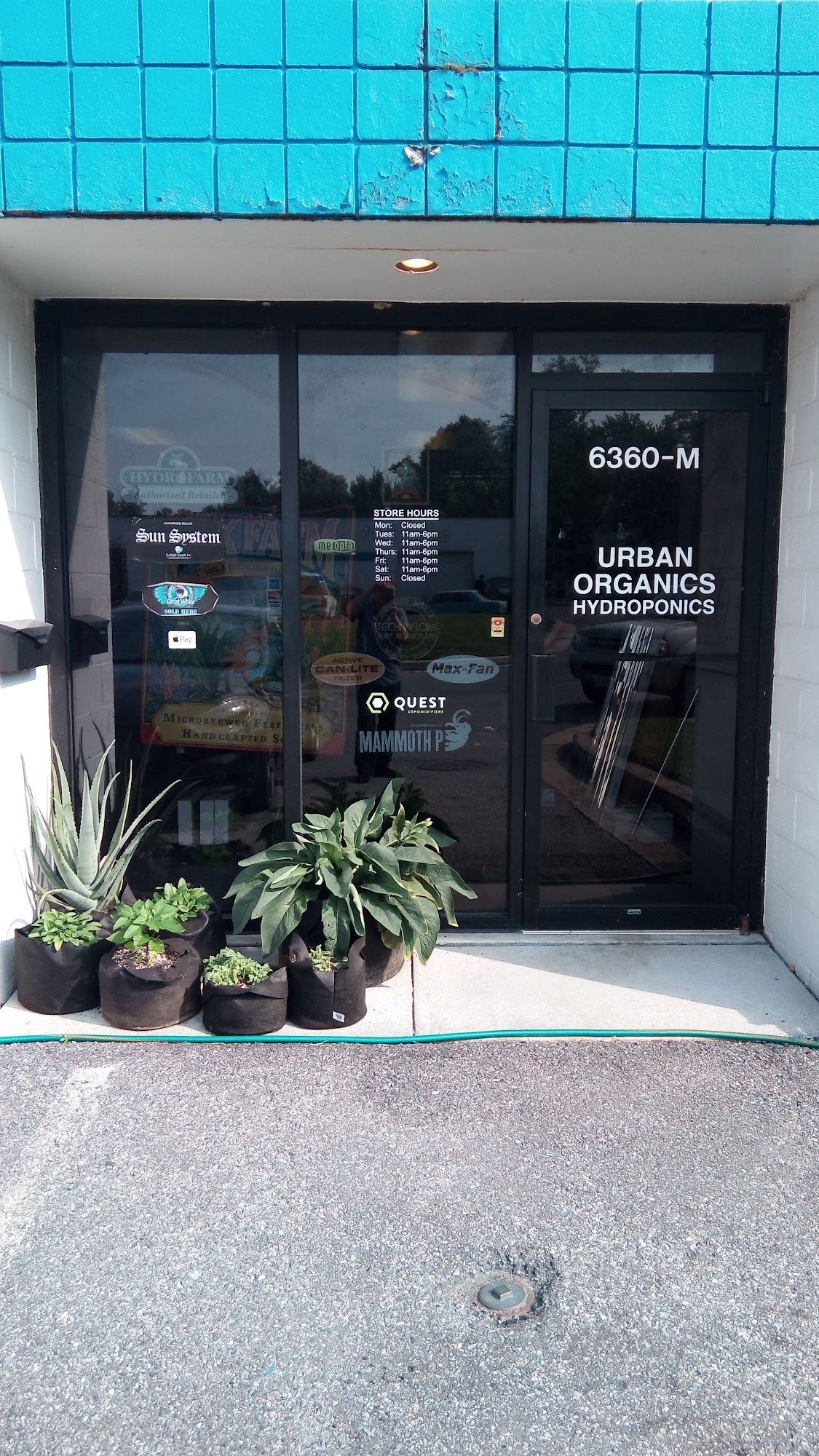 Entrance to Urban Dynamics, a business with a dark glass door, potted plants, and teal roof.