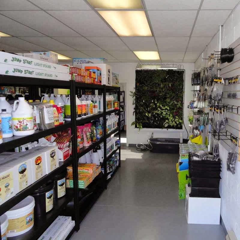 Interior of a store, shelves stocked with products. A wall of greenery is visible in the background.