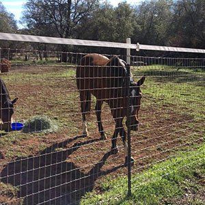 Metal Fences — Horse in the Fence in  Auburn, CA