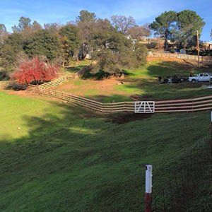 Fence Services — Big Country View Fence in Auburn, CA