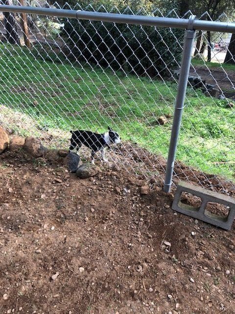 Chain Link Fence Installation — Metal Fences in Auburn, CA