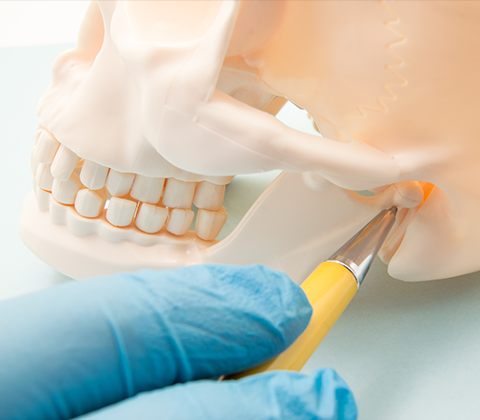 Bone Grafting — Joint of the Lower Jaw and the Ear Canal in San Diego, CA