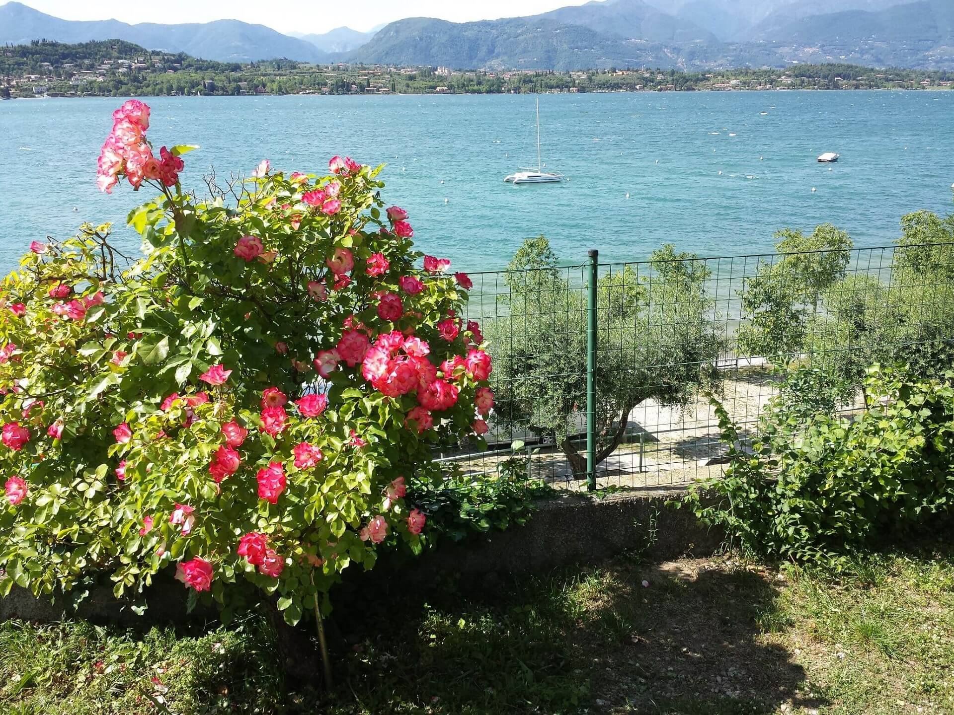 campeggio con vista lago