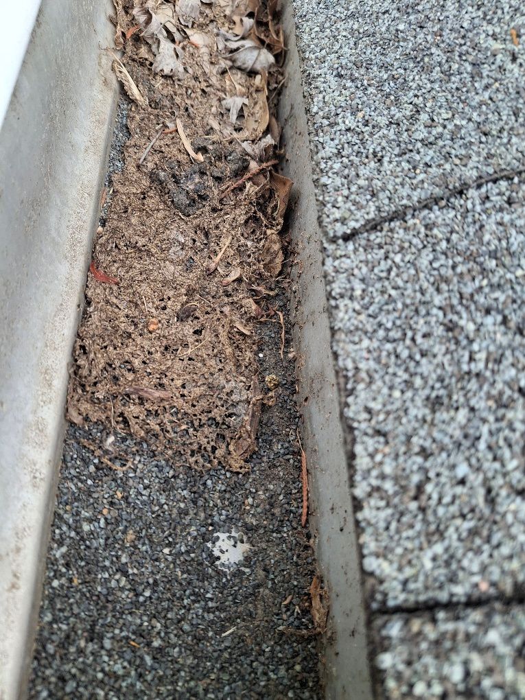 driveway pressure washing