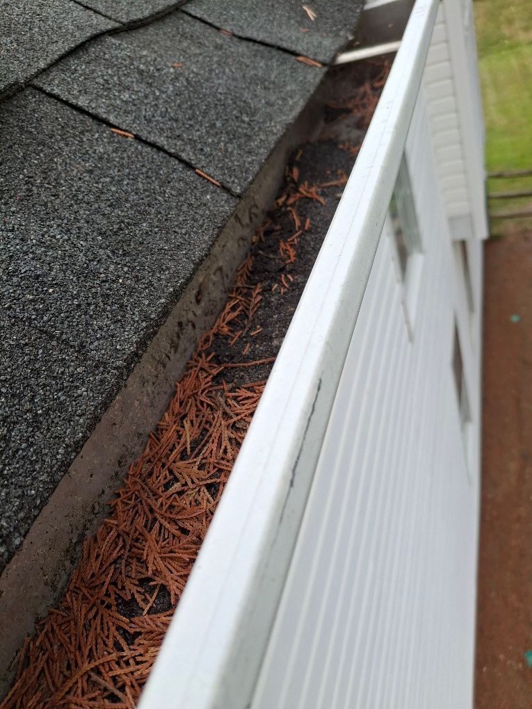 pressure washing company near me
