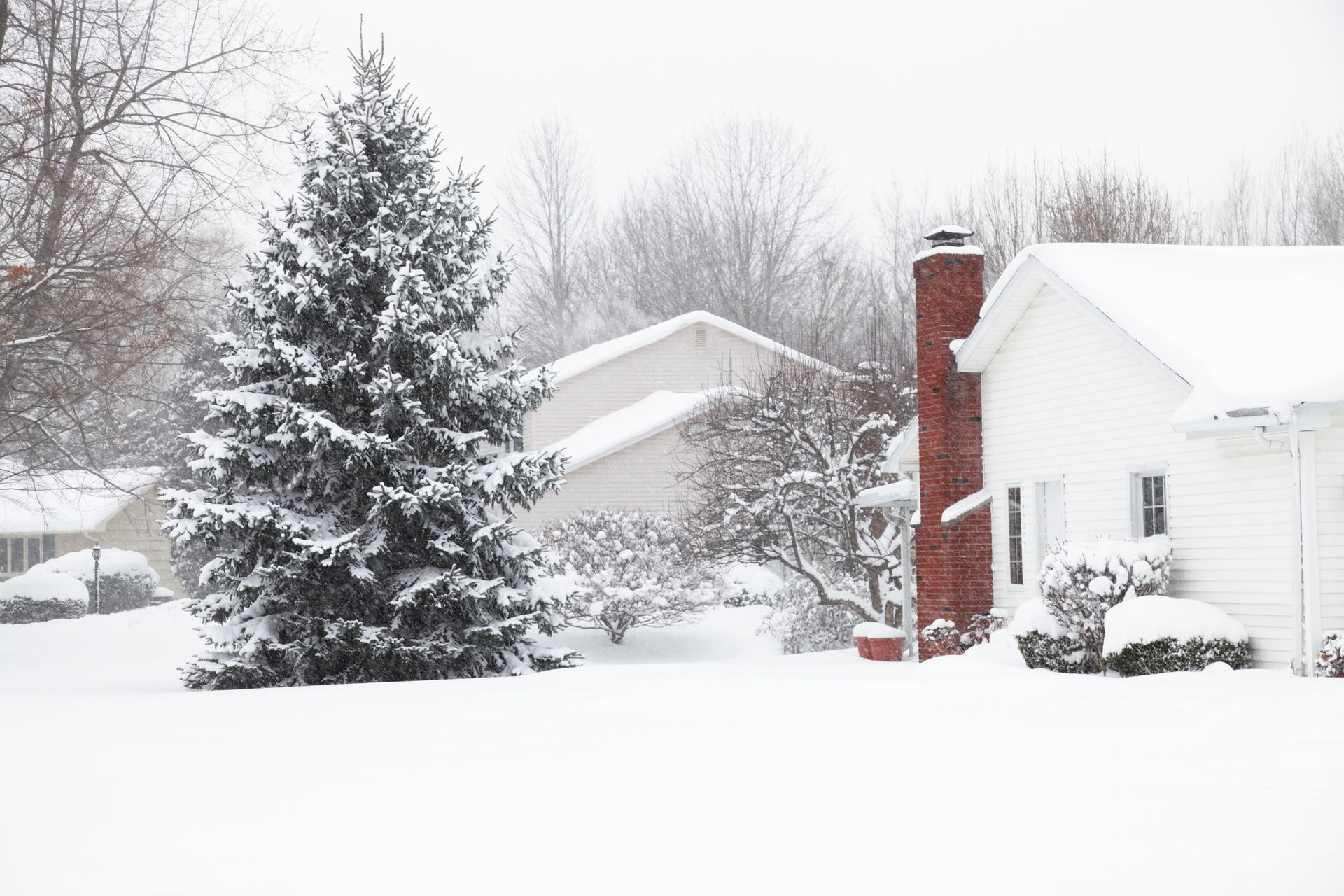 A snowy neighborhood with a white house and a christmas tree