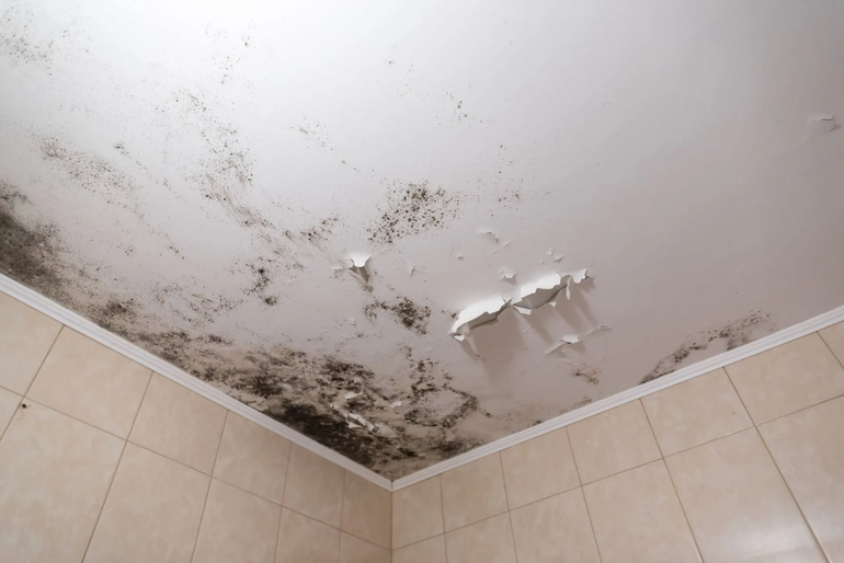 For Mold Damage Restoration, the image shows black mold in a corner of a ceiling.