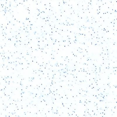 A Alpine Pattern of Blue Confetti on a White Background — SJ Pools and Concreting in Dubbo, NSW