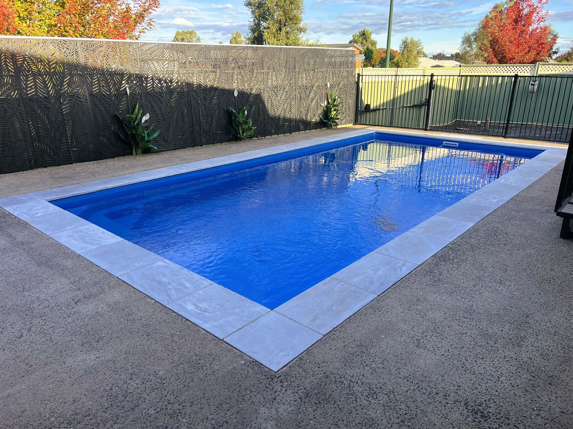 Rectangular blue swimming pool with gray border and concrete surround; fenced backyard setting.
